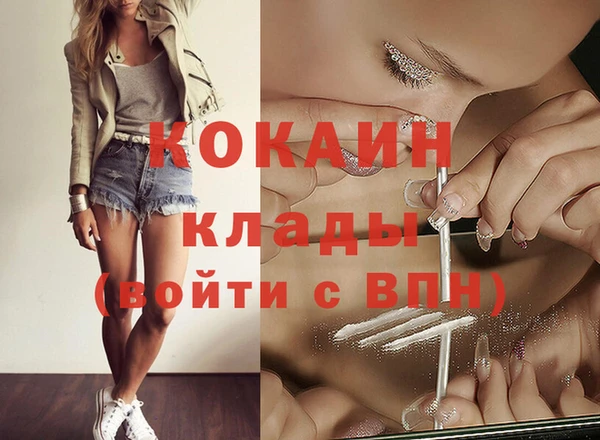 мдма Новодвинск