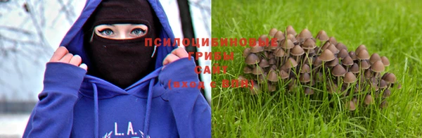 мдма Новодвинск