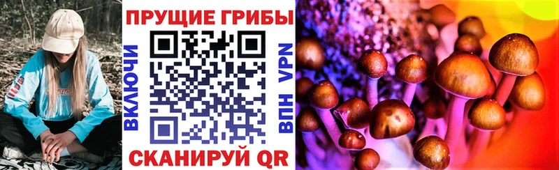 Купить где  Красновишерск  Галлюциногенные грибы мицелий 